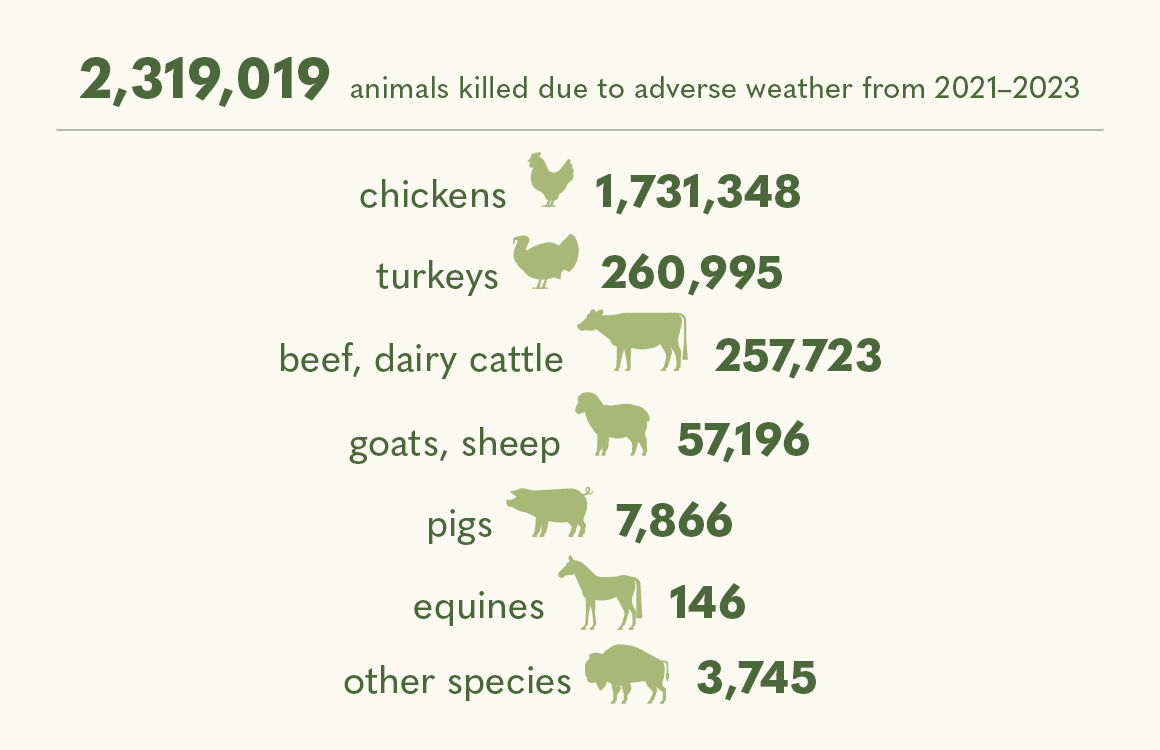 Extreme Weather Deaths for Farm Animals in 2019